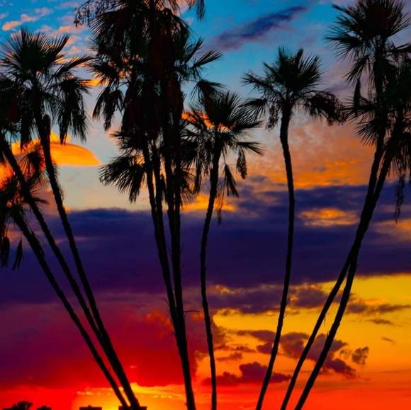 Meet your Posher - Picture 1 of 1